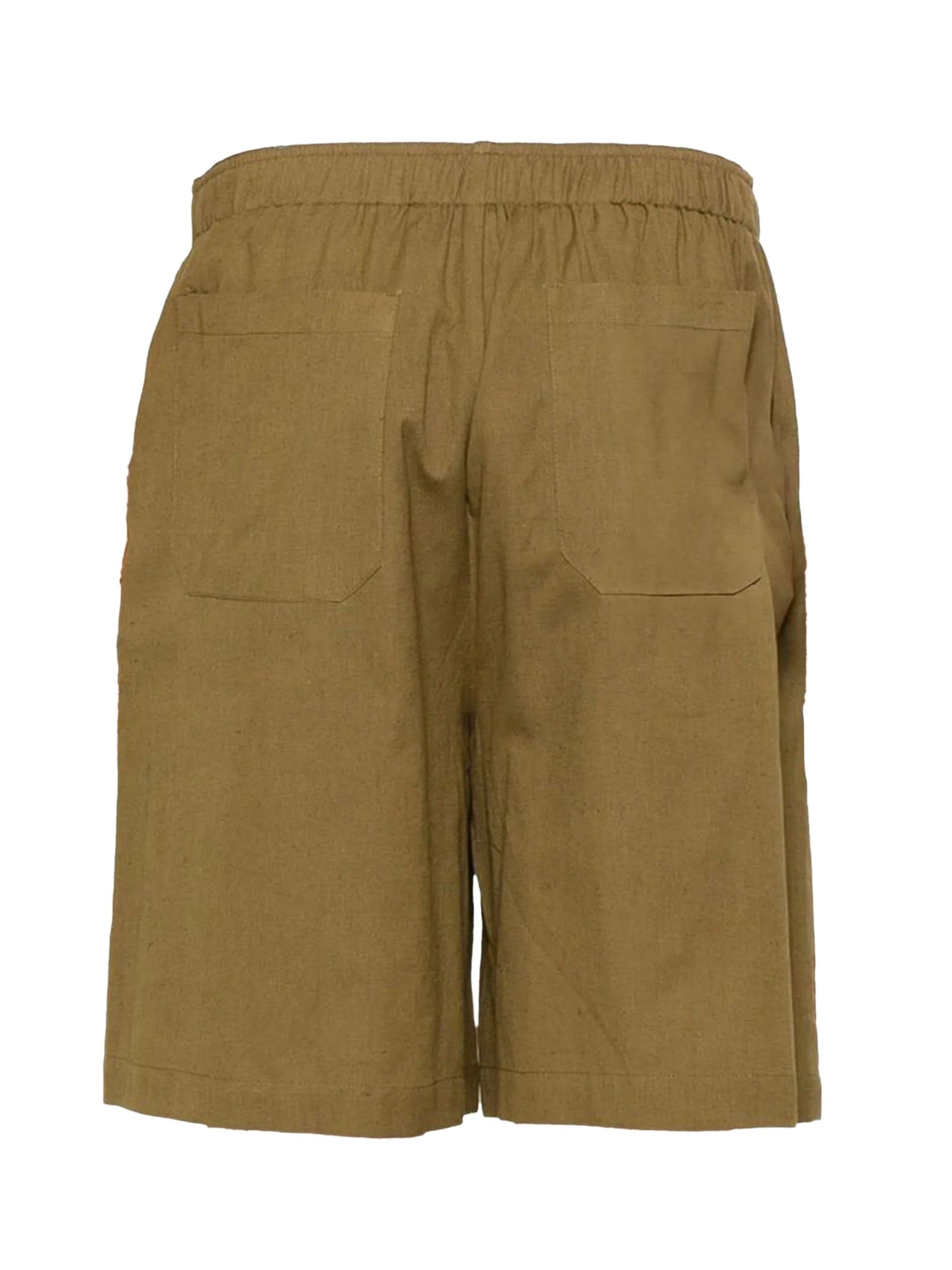 Amaranto PANTALONI Verde