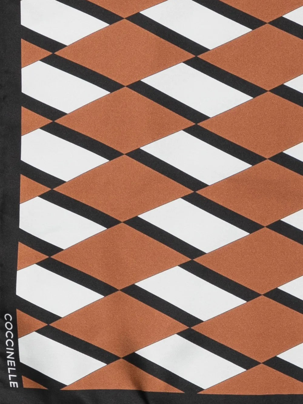 Coccinelle SCIARPE & STOLE Marrone