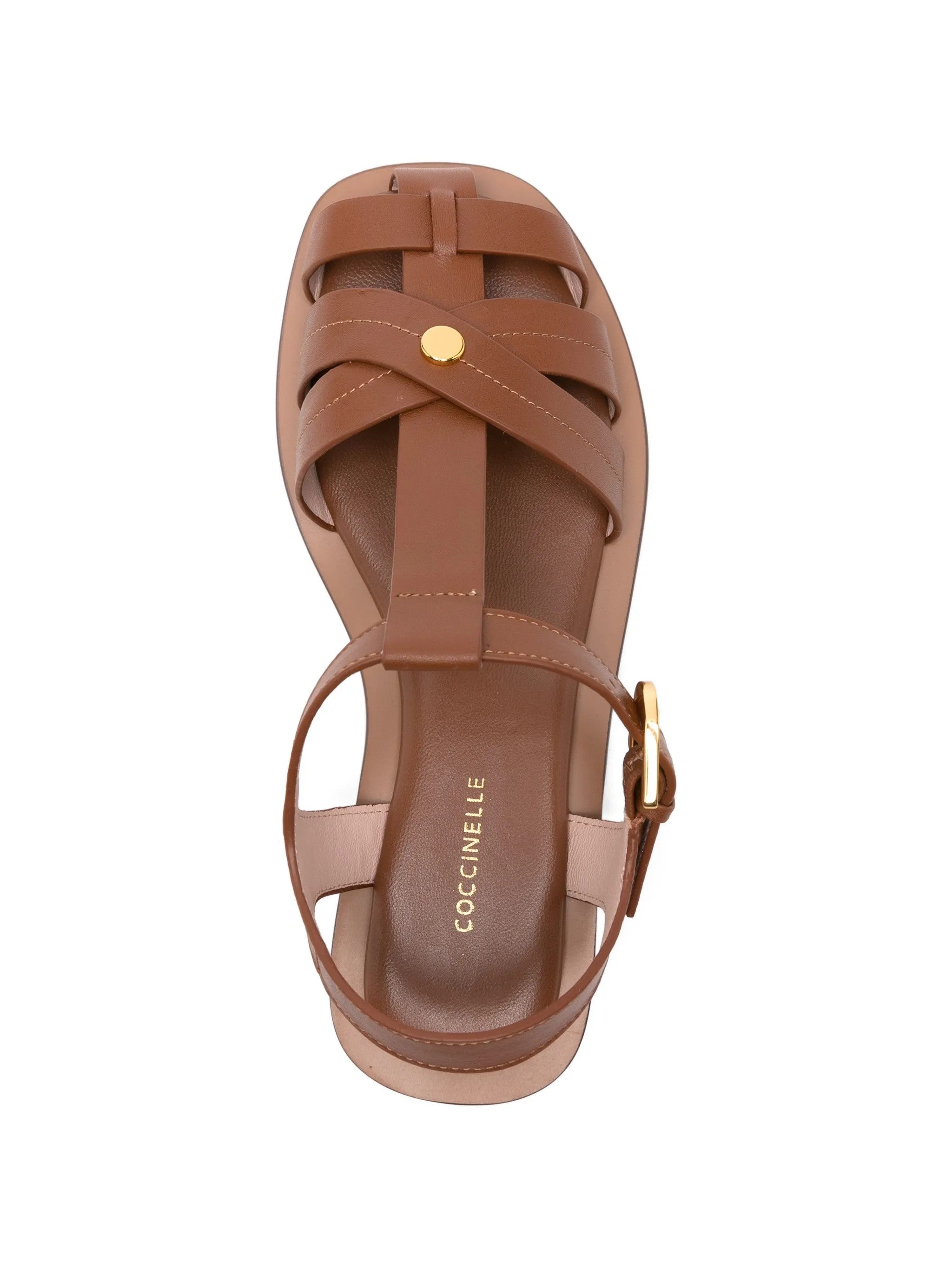 Coccinelle SNEAKERS Marrone