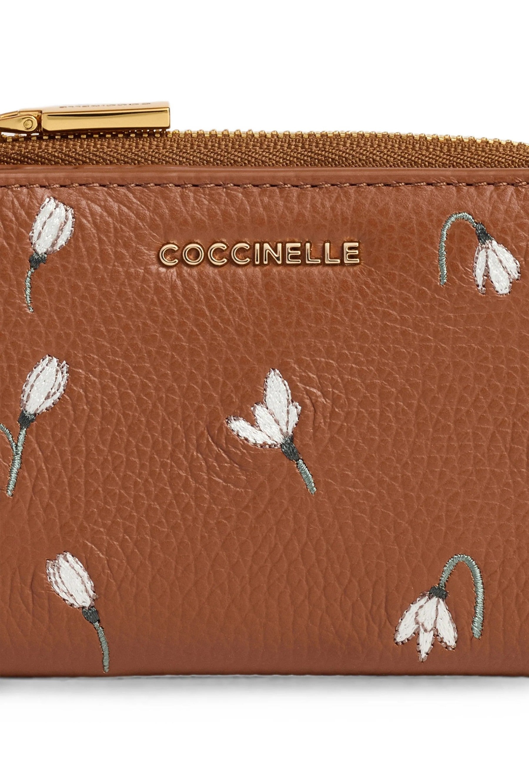 Coccinelle BORSE A MANO Marrone