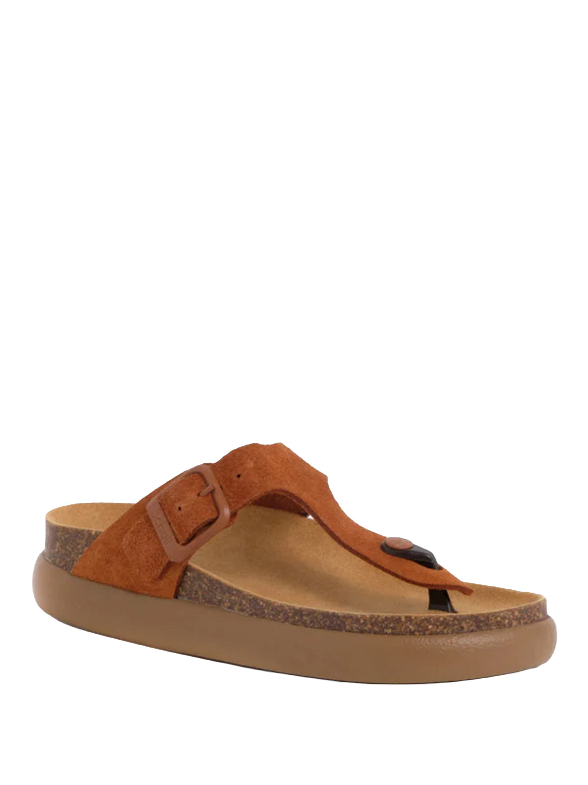 Scholl INFRADITO Marrone