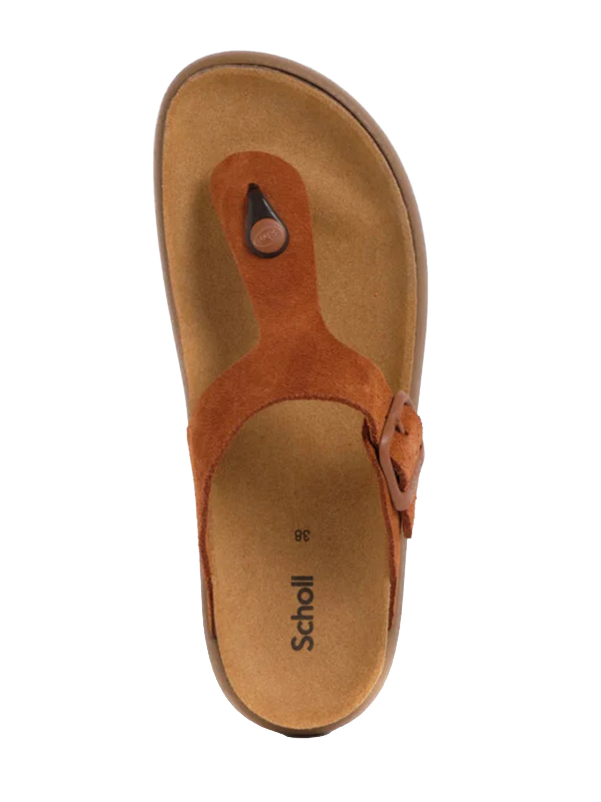 Scholl INFRADITO Marrone