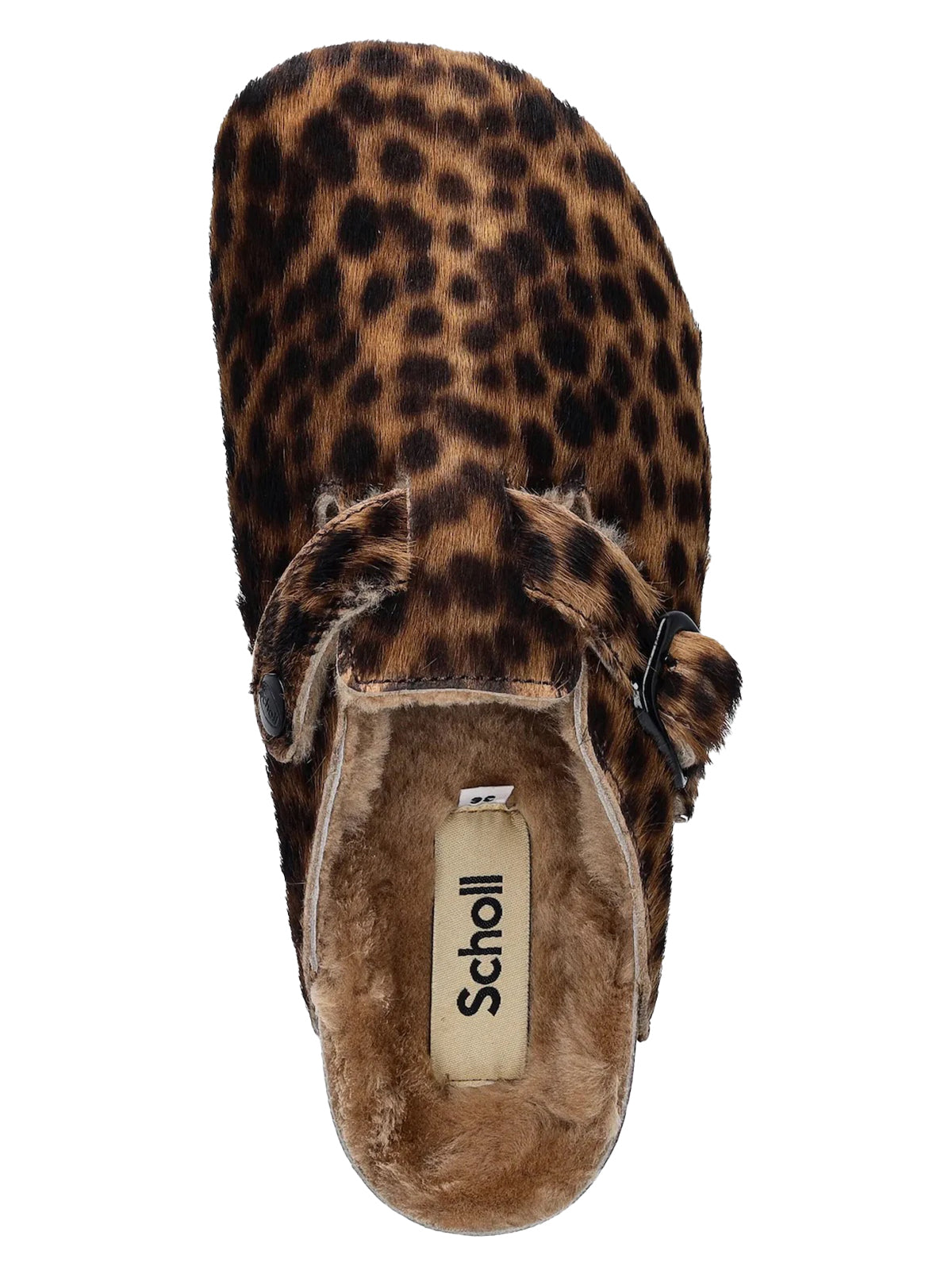 Scholl SABOT Marrone