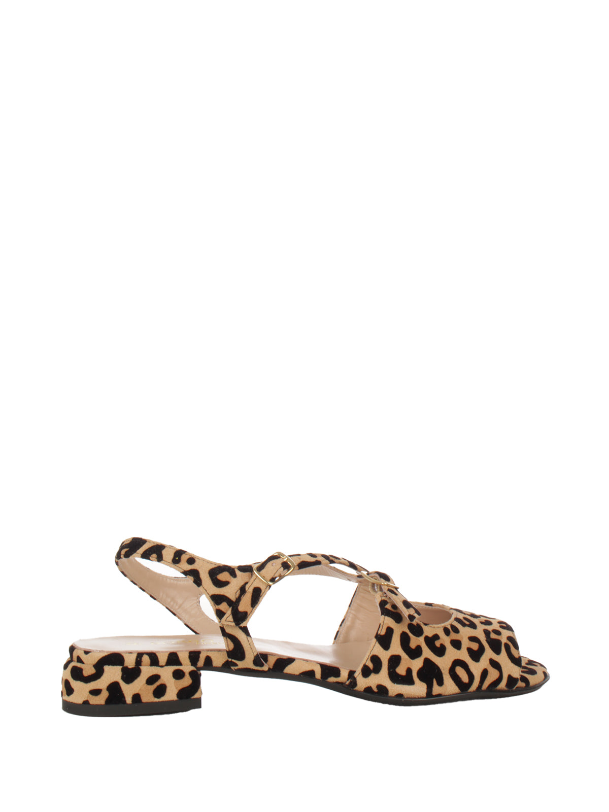 Steve Madden SCARPE Marrone