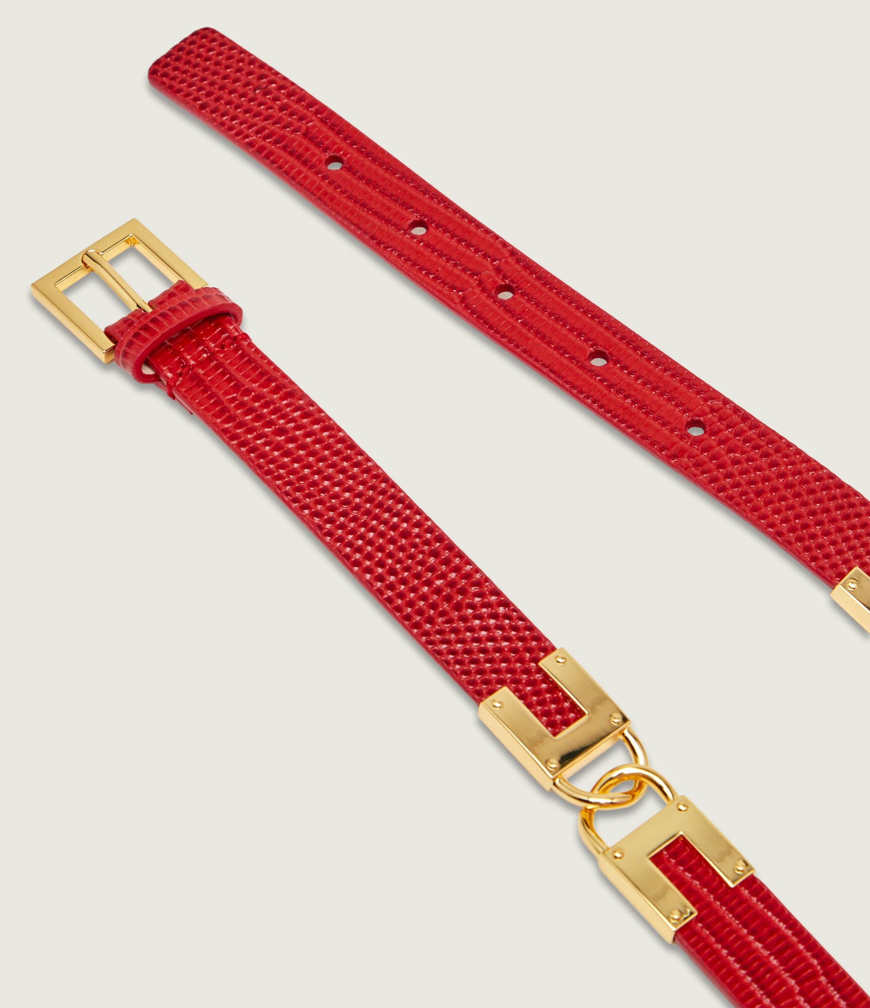 Elisabetta Franchi CINTURE Rosso