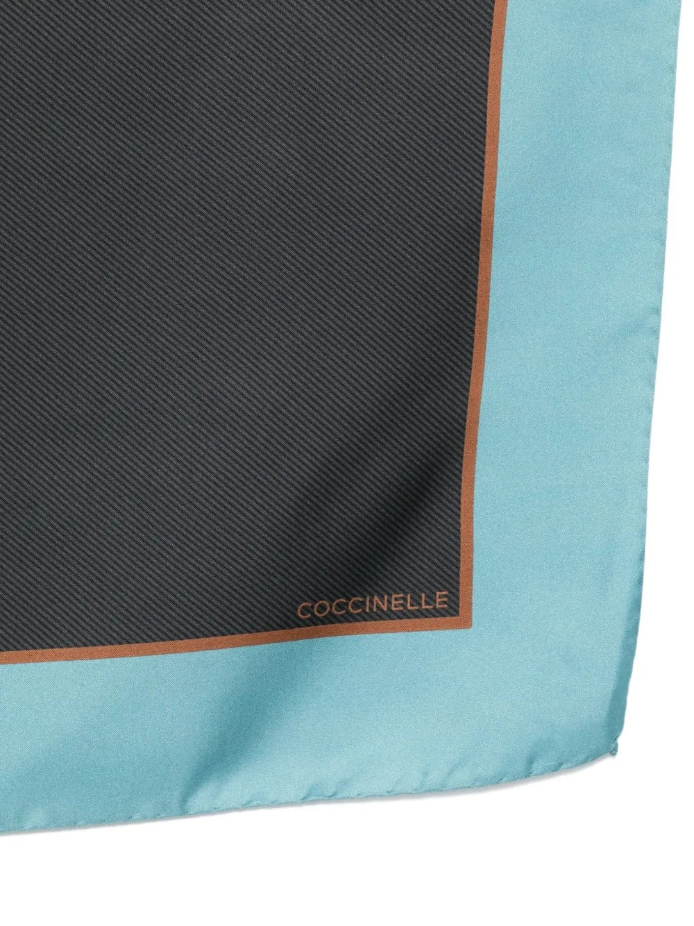 Coccinelle SCIARPE & STOLE Nero