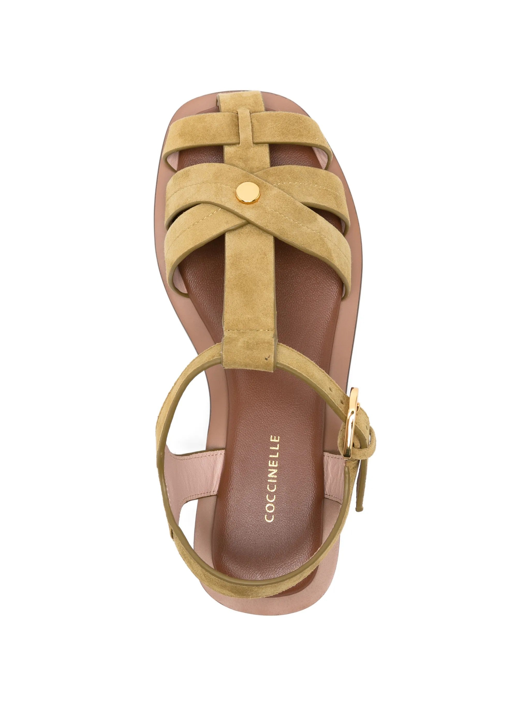 Coccinelle SNEAKERS Verde