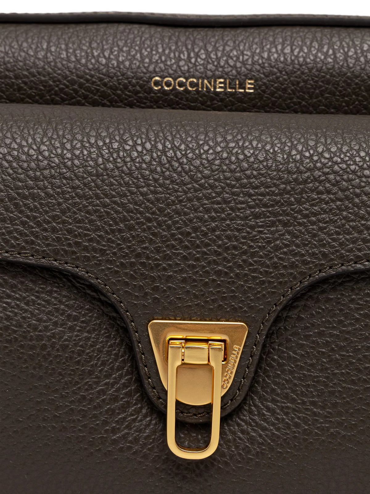 Coccinelle BORSE A MANO Marrone