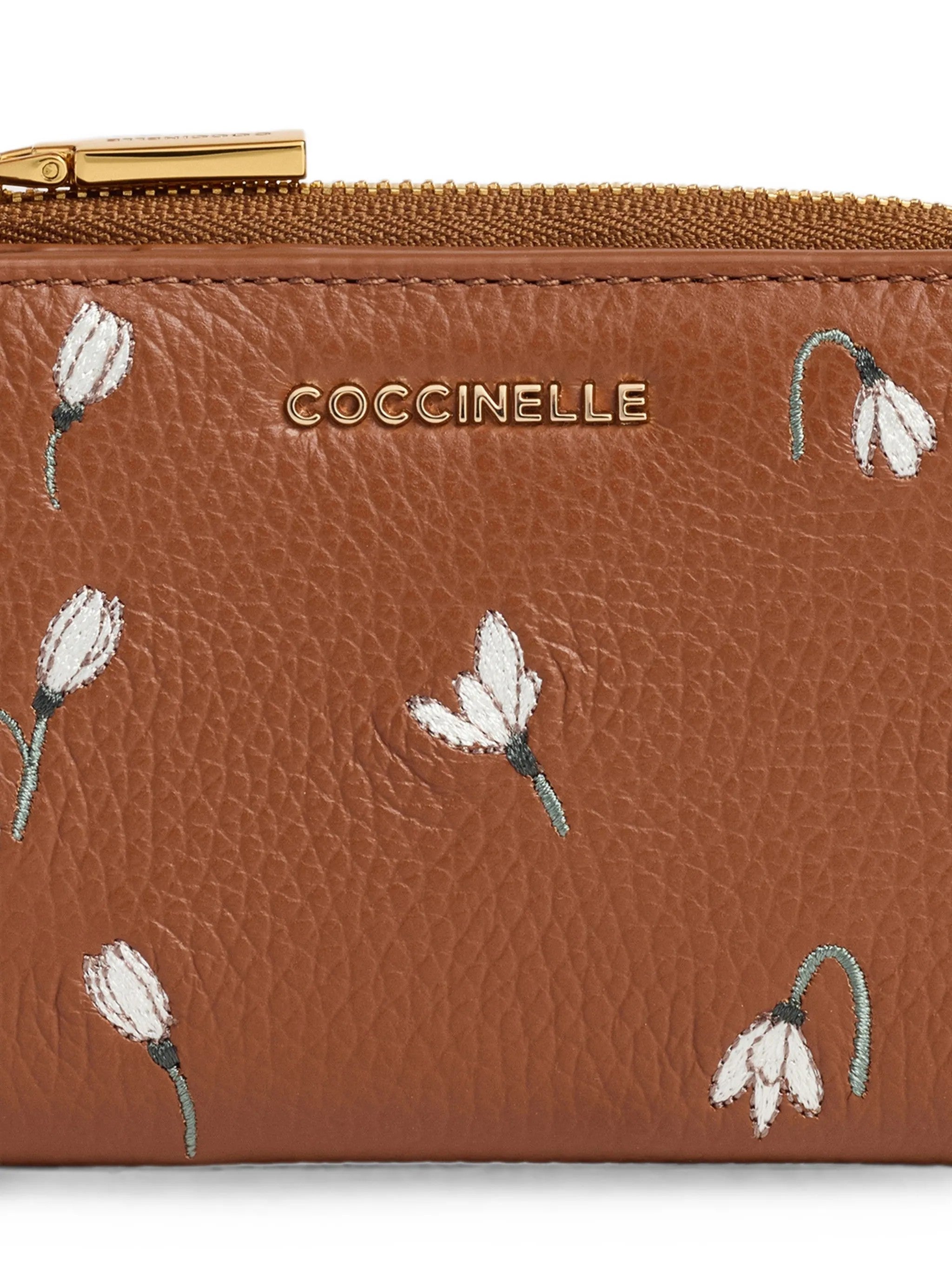 Coccinelle BORSE A MANO Marrone
